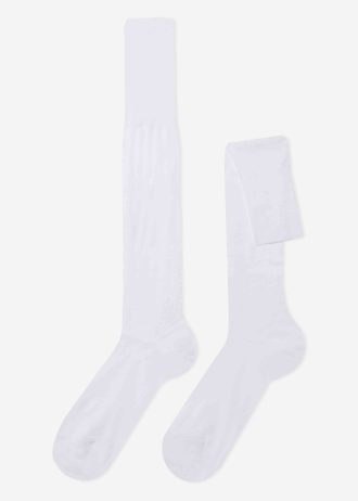 Men’s Long Lisle Thread Socks